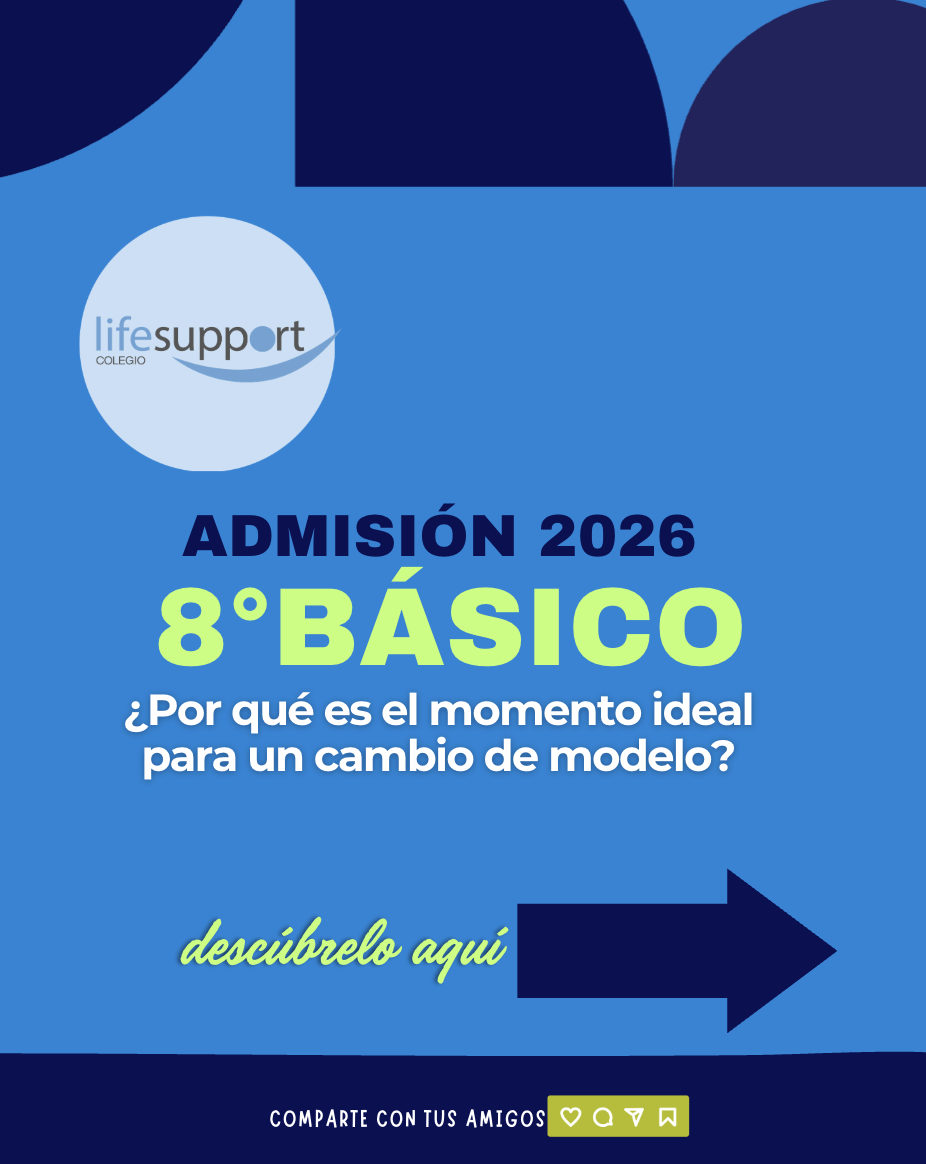 admison octavo basico en las condes